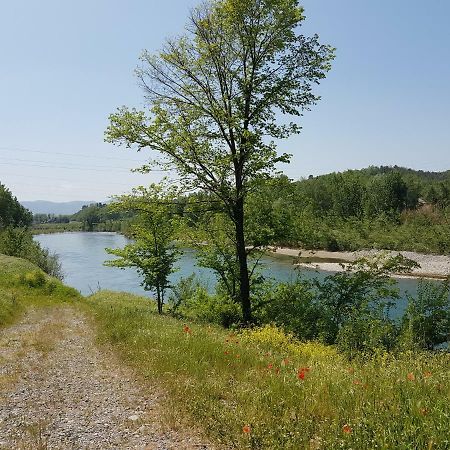 Tra Gli Olivi Daire Lucca Dış mekan fotoğraf