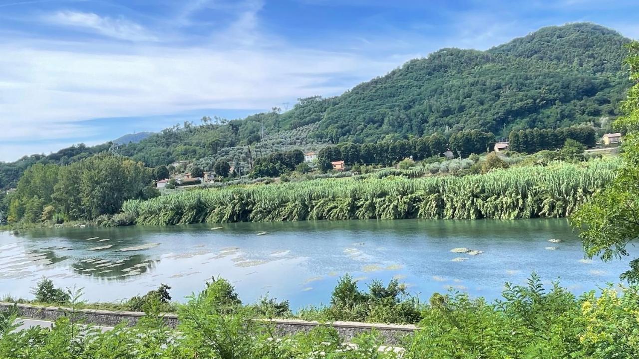 Tra Gli Olivi Daire Lucca Dış mekan fotoğraf
