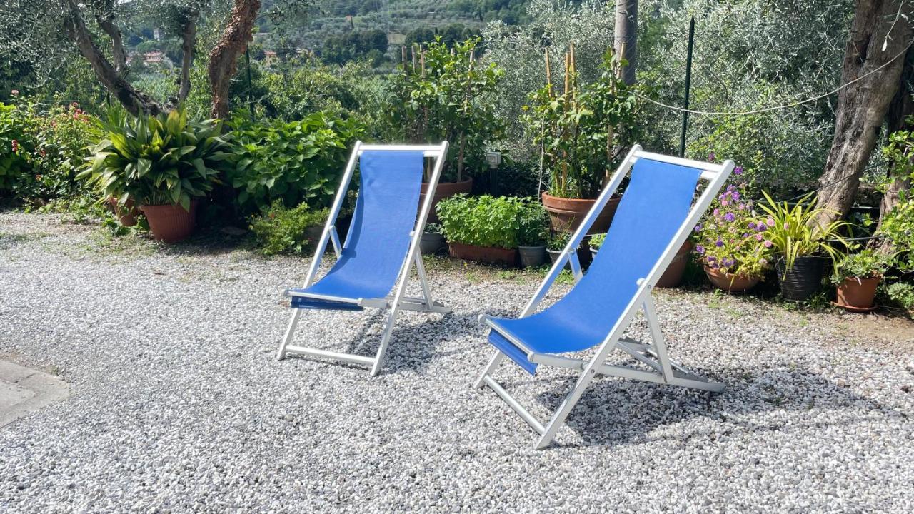 Tra Gli Olivi Daire Lucca Dış mekan fotoğraf