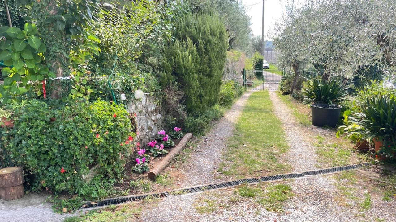 Tra Gli Olivi Daire Lucca Dış mekan fotoğraf