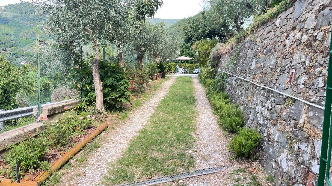 Tra Gli Olivi Daire Lucca Dış mekan fotoğraf