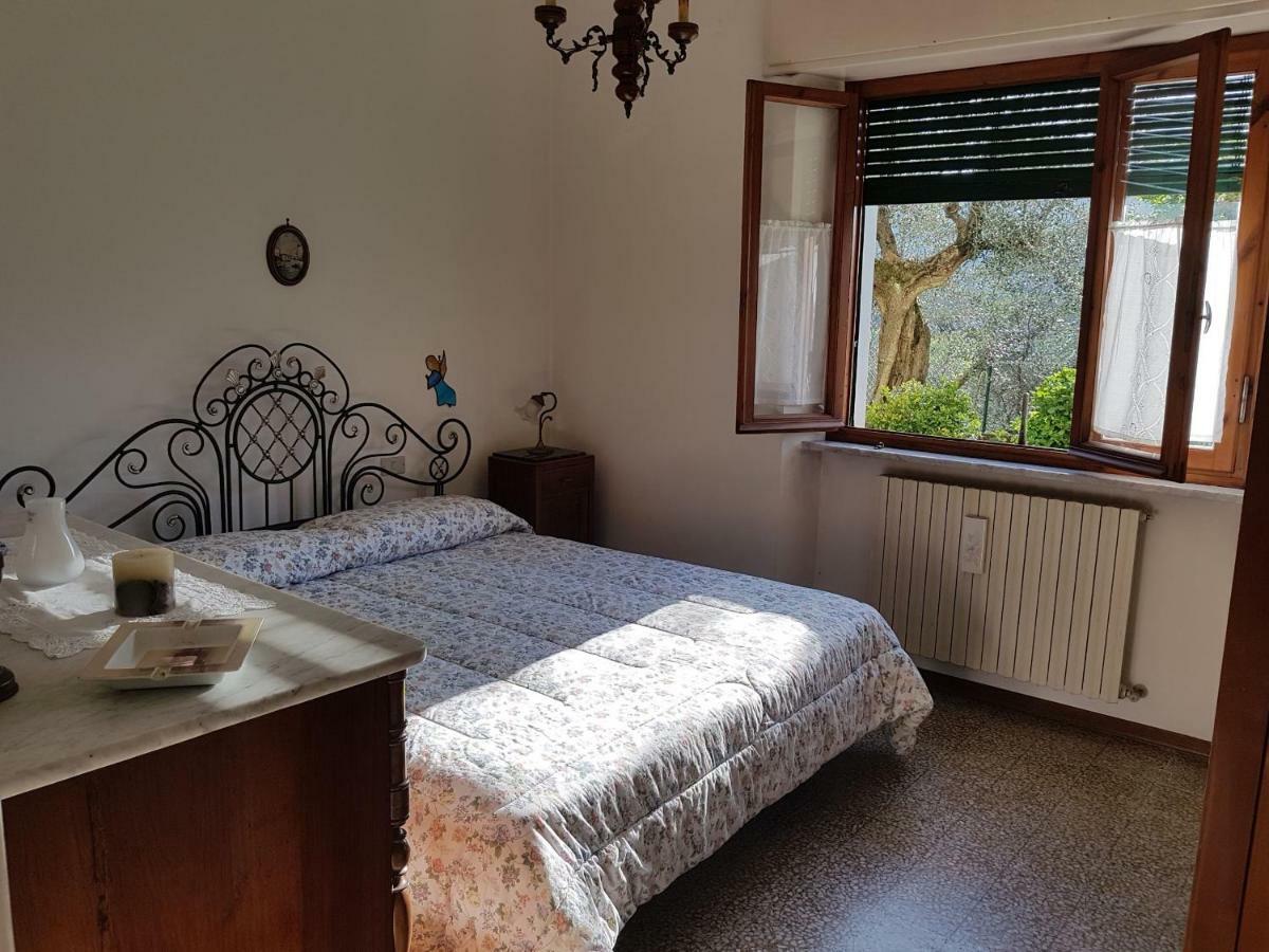 Tra Gli Olivi Daire Lucca Dış mekan fotoğraf